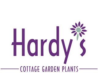 Hardy's cottage gardens